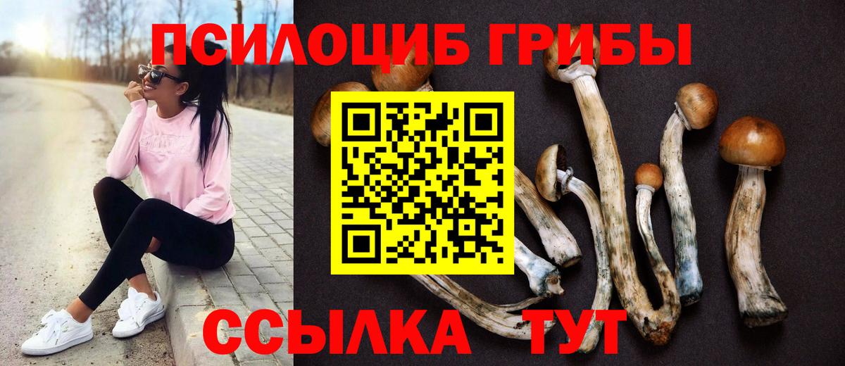 Галлюциногенные грибы MAGIC MUSHROOMS Малоярославец