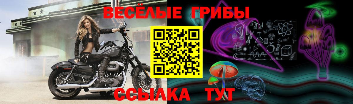 Псилоцибиновые грибы Magic Shrooms  Псилоцибиновые грибы Psilocybe  Малоярославец  Вход с VPN 